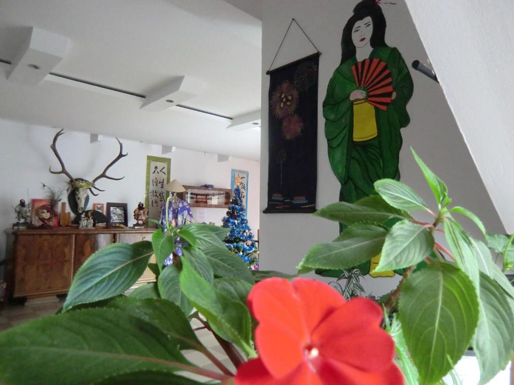 Casa Samurai 3* Braşov